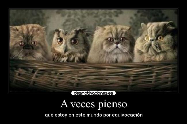 A veces pienso - que estoy en este mundo por equivocación