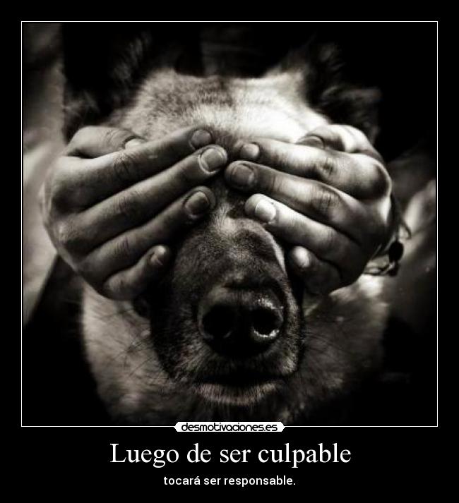Luego de ser culpable - tocará ser responsable.