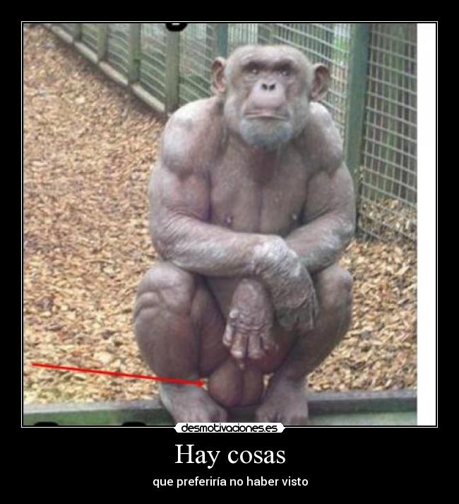Hay cosas -