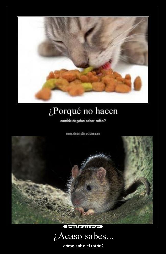 ¿Acaso sabes... -
