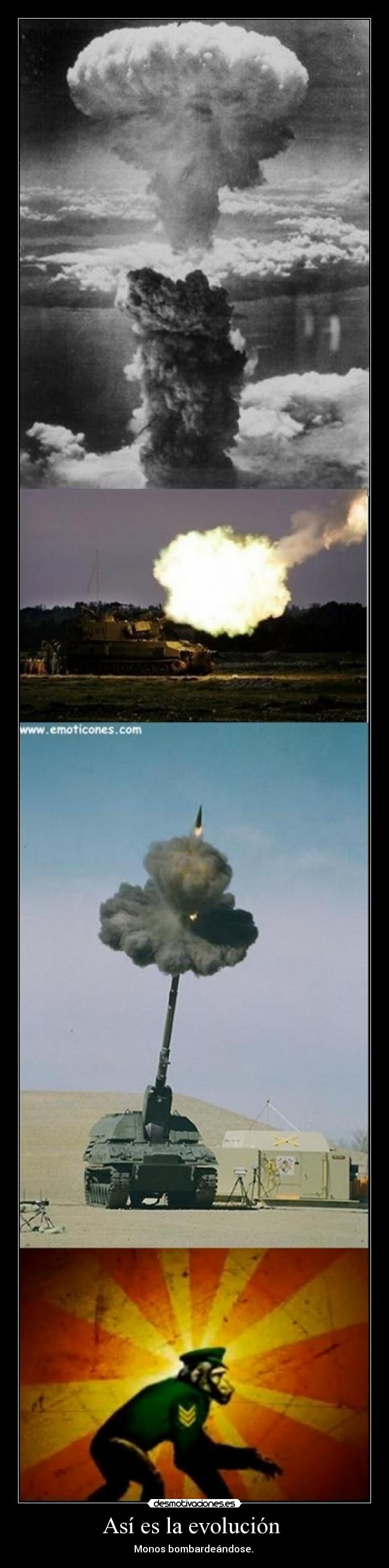 Así es la evolución - Monos bombardeándose.