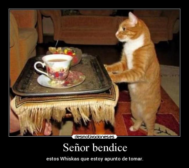 Señor bendice -