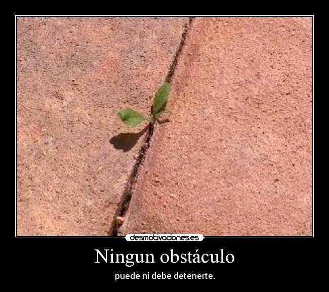 Ningun obstáculo - 