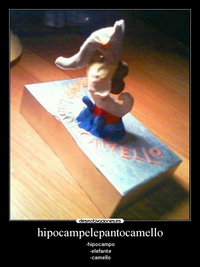 hipocampelepantocamello - -hipocampo
-elefante
-camello