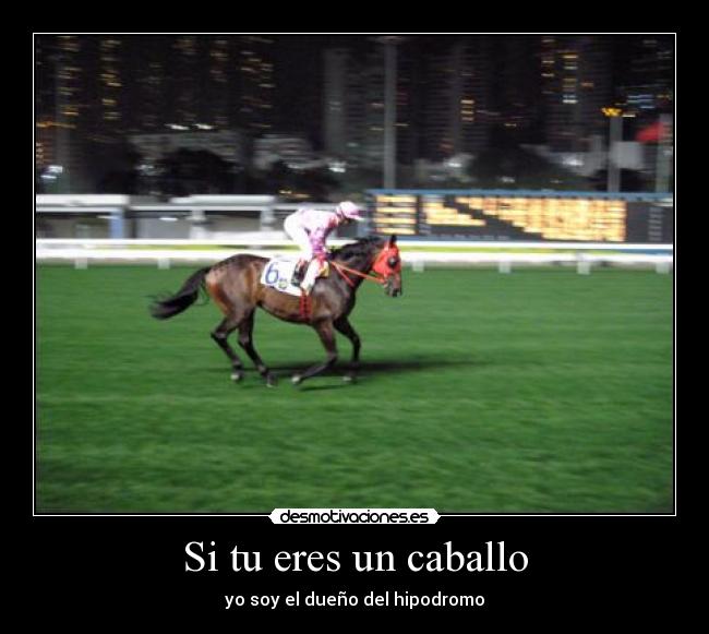 Si tu eres un caballo - yo soy el dueño del hipodromo