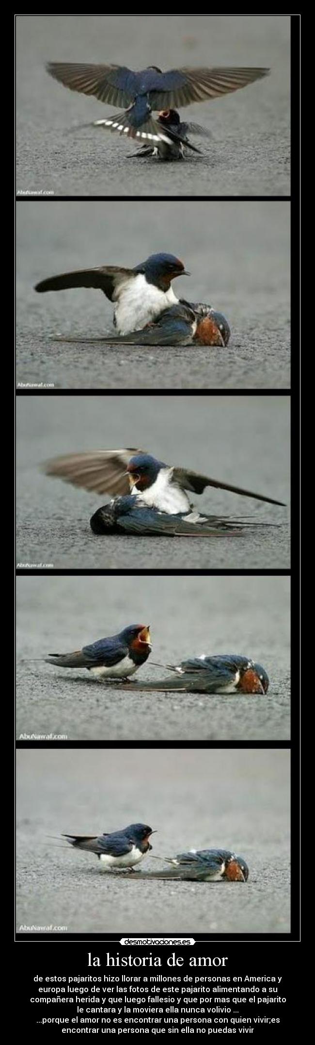 la historia de amor - 