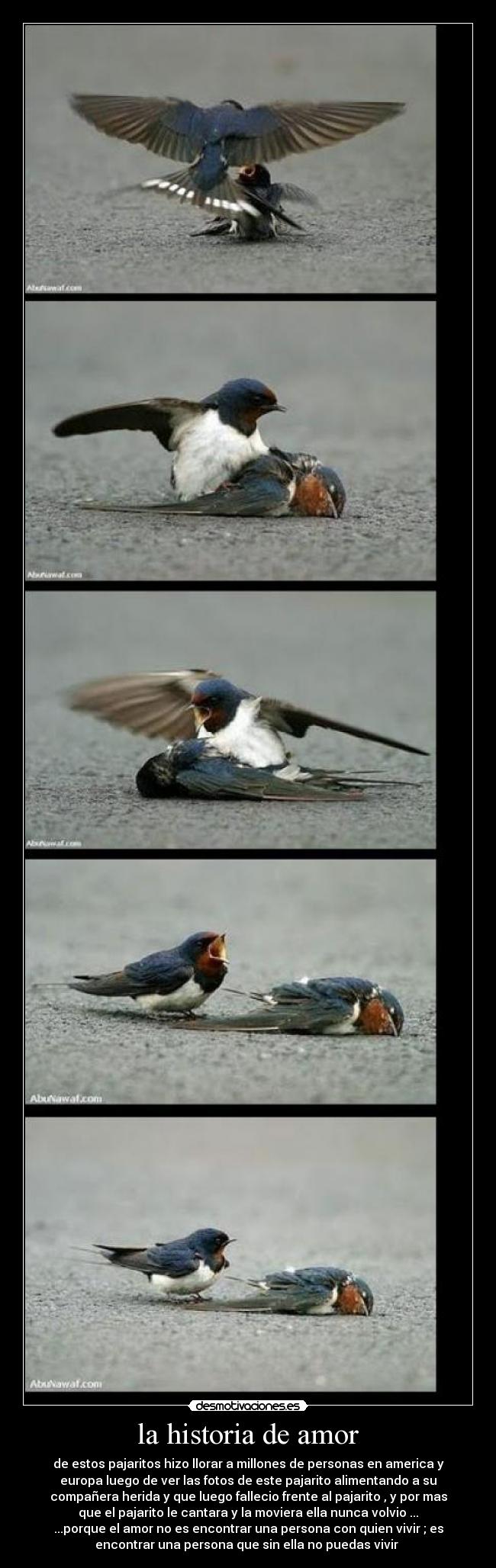 la historia de amor -