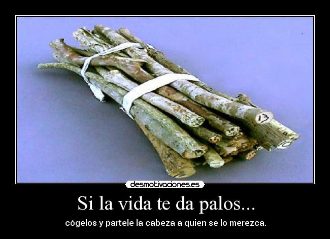Si la vida te da palos... -