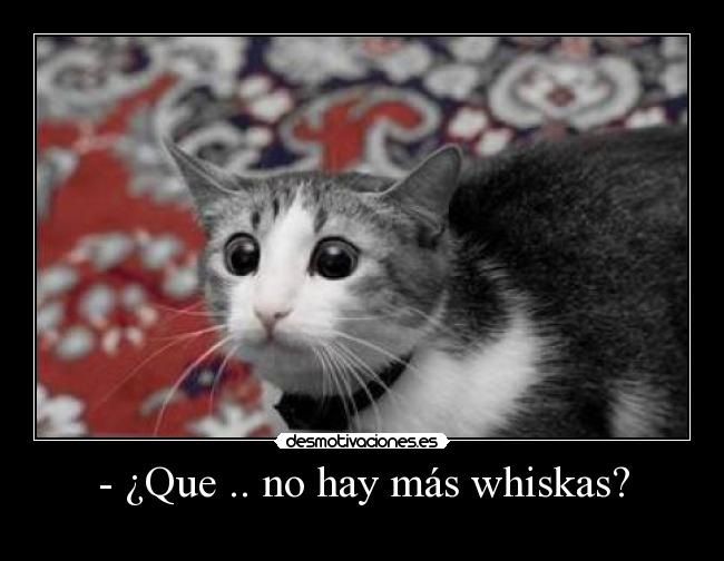 - ¿Que .. no hay más whiskas? -