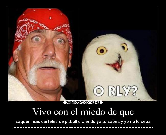 Vivo con el miedo de que - 