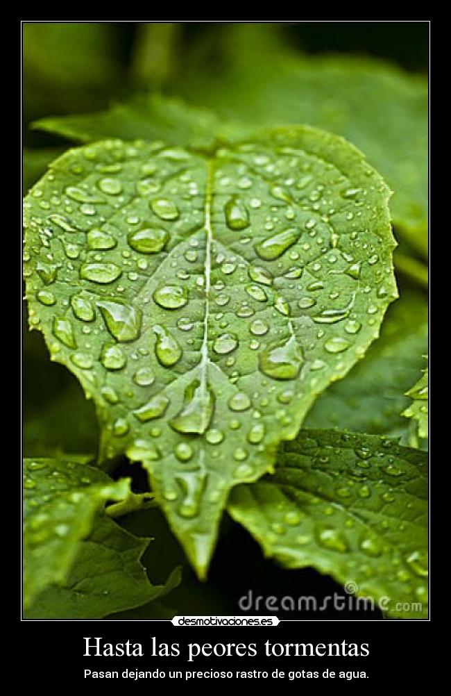 Hasta las peores tormentas - 