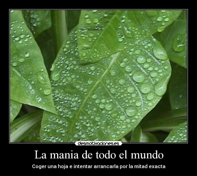 La mania de todo el mundo - 