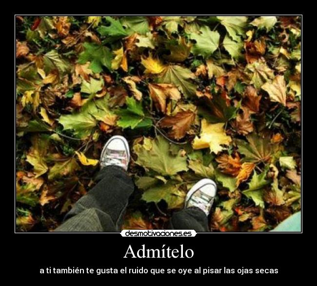 Admítelo - a ti también te gusta el ruido que se oye al pisar las ojas secas
