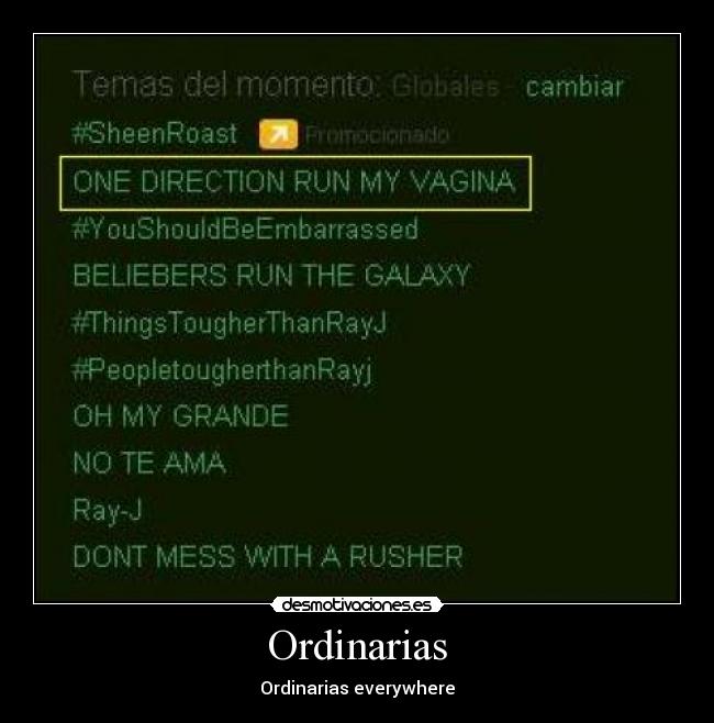 carteles ordinarias one direction vagina everywhere desmotivaciones