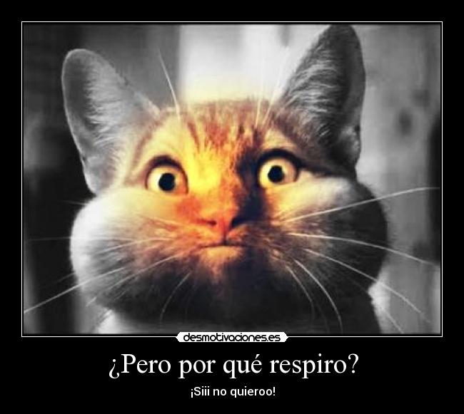 ¿Pero por qué respiro? - ¡Siii no quieroo!