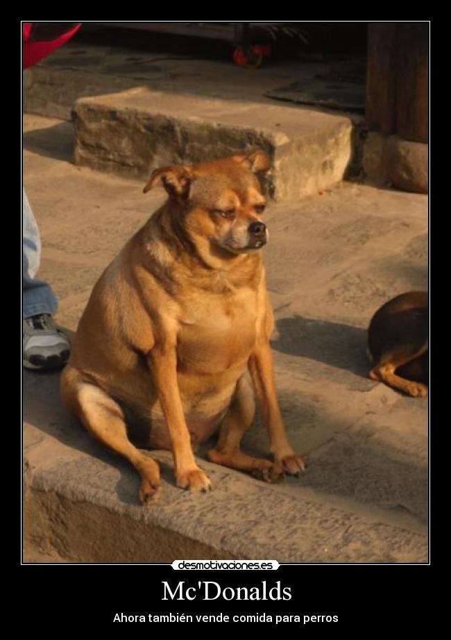 McDonalds - Ahora también vende comida para perros