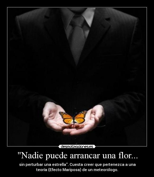 Nadie puede arrancar una flor... - sin perturbar una estrella. Cuesta creer que pertenezca a una
teoría (Efecto Mariposa) de un meteorólogo.