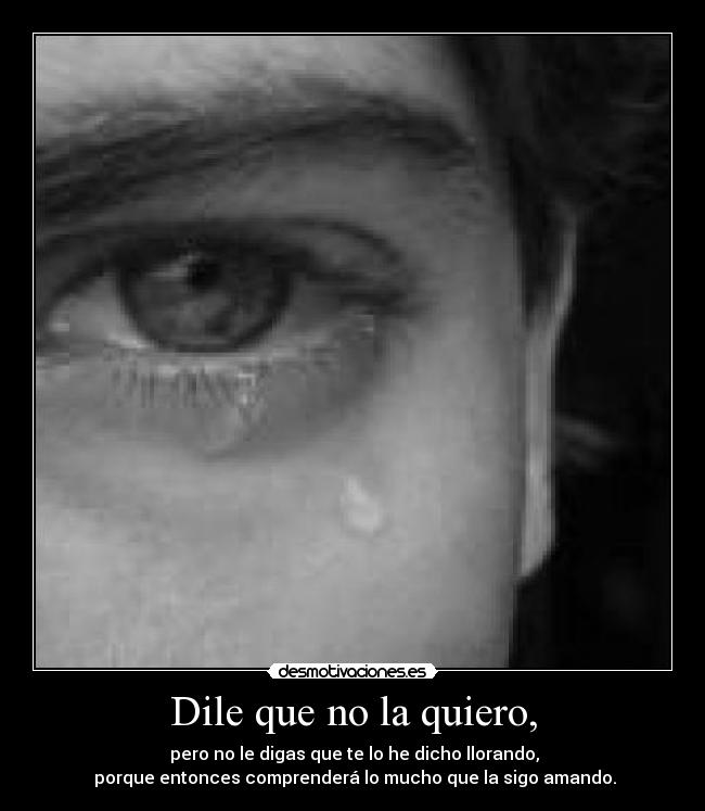 Dile que no la quiero, -