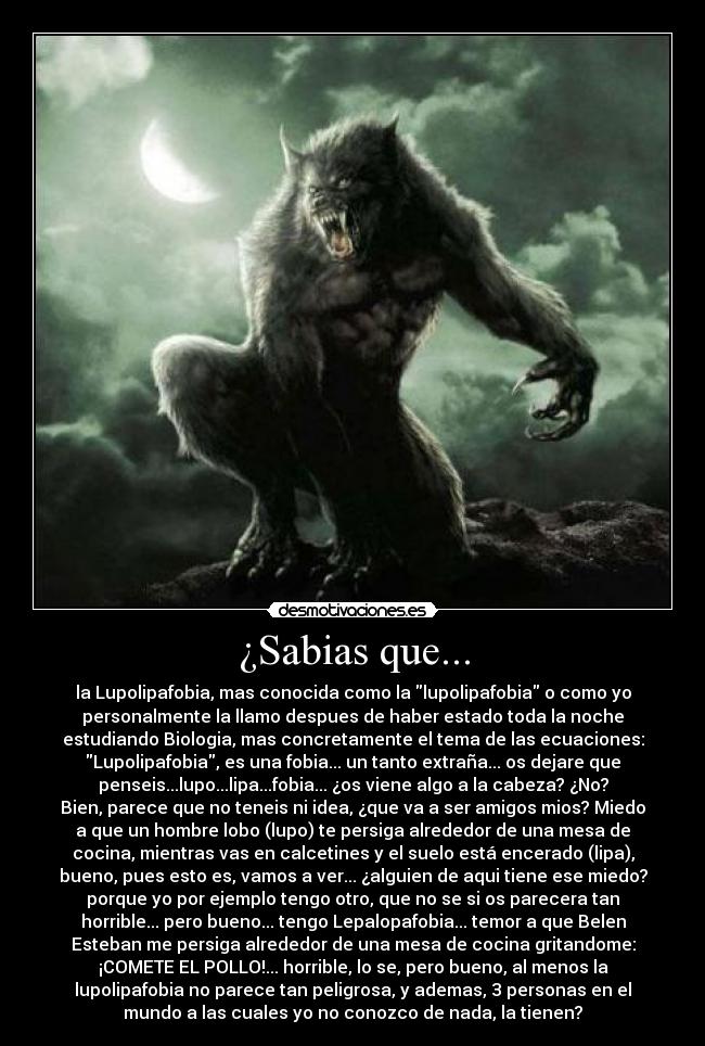 ¿Sabias que... - la Lupolipafobia, mas conocida como la lupolipafobia o como yo
personalmente la llamo despues de haber estado toda la noche
estudiando Biologia, mas concretamente el tema de las ecuaciones:
Lupolipafobia, es una fobia... un tanto extraña... os dejare que
penseis...lupo...lipa...fobia... ¿os viene algo a la cabeza? ¿No?
Bien, parece que no teneis ni idea, ¿que va a ser amigos mios? Miedo
a que un hombre lobo (lupo) te persiga alrededor de una mesa de
cocina, mientras vas en calcetines y el suelo está encerado (lipa),
bueno, pues esto es, vamos a ver... ¿alguien de aqui tiene ese miedo?
porque yo por ejemplo tengo otro, que no se si os parecera tan
horrible... pero bueno... tengo Lepalopafobia... temor a que Belen
Esteban me persiga alrededor de una mesa de cocina gritandome:
¡COMETE EL POLLO!... horrible, lo se, pero bueno, al menos la
lupolipafobia no parece tan peligrosa, y ademas, 3 personas en el
mundo a las cuales yo no conozco de nada, la tienen?