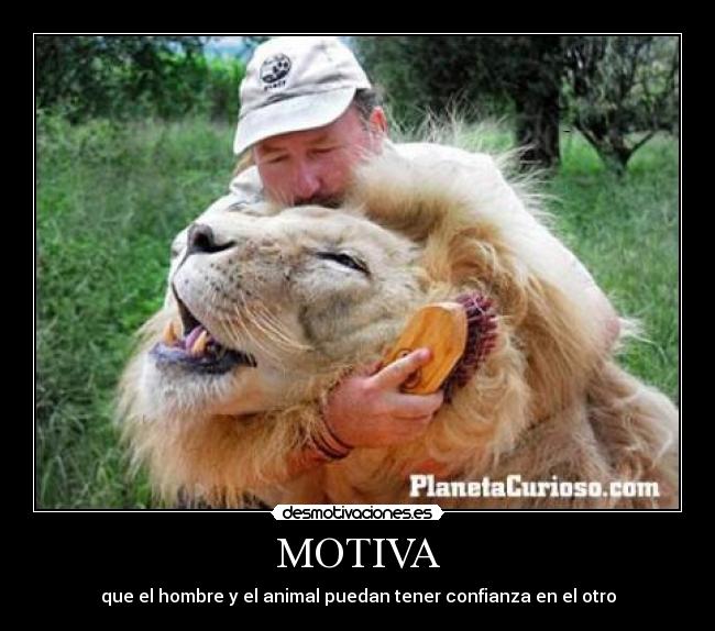 MOTIVA - que el hombre y el animal puedan tener confianza en el otro