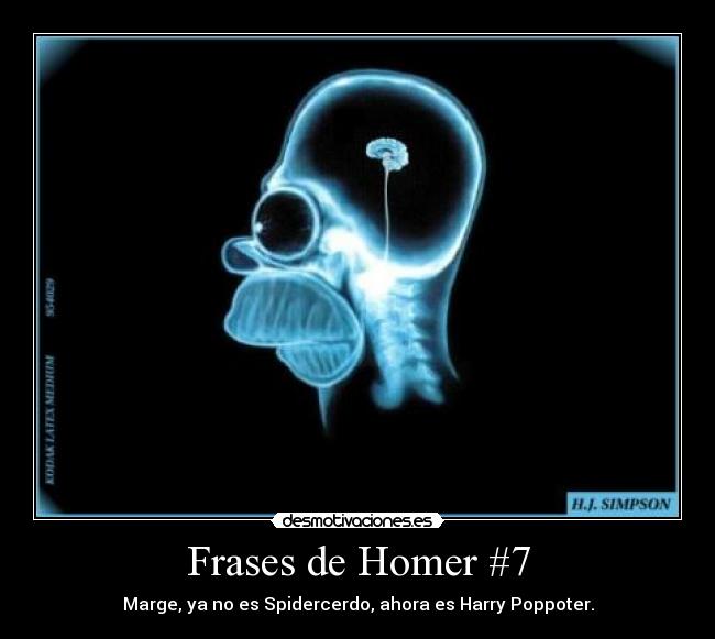 Frases de Homer #7 - Marge, ya no es Spidercerdo, ahora es Harry Poppoter.