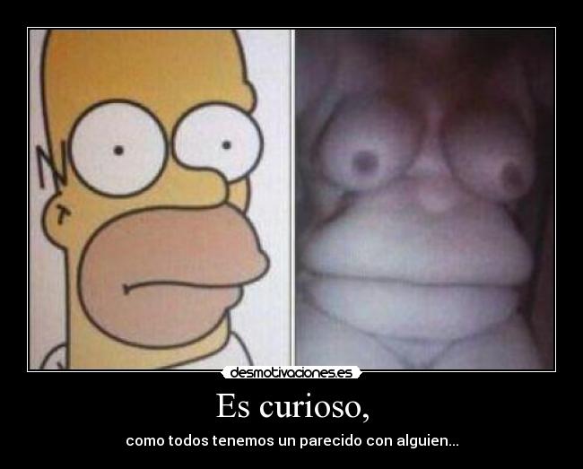 Es curioso, - como todos tenemos un parecido con alguien...