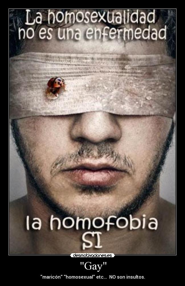 carteles homosexual insulto desmotivaciones