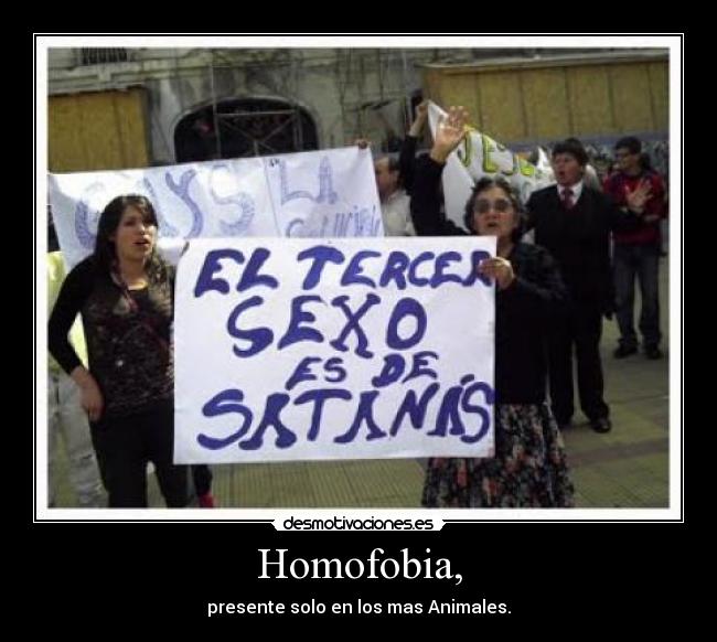 Homofobia, - 