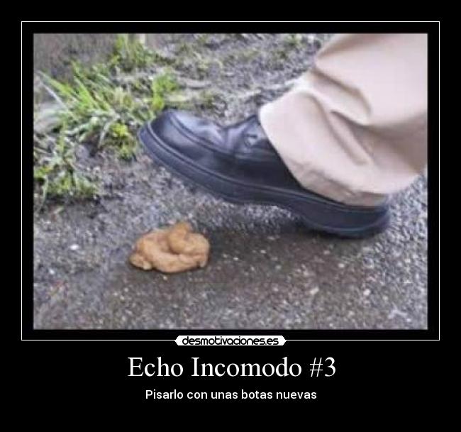 Echo Incomodo #3 -