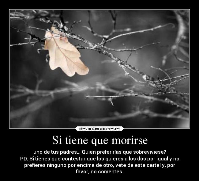 Si tiene que morirse - uno de tus padres... Quien preferirías que sobreviviese?
PD: Si tienes que contestar que los quieres a los dos por igual y no
prefieres ninguno por encima de otro, vete de este cartel y, por
favor, no comentes.