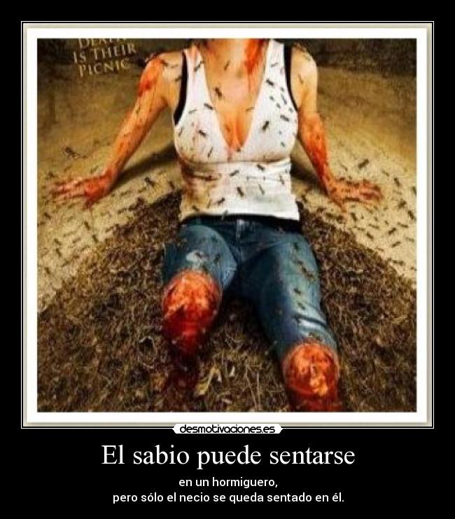 El sabio puede sentarse - en un hormiguero,
pero sólo el necio se queda sentado en él.