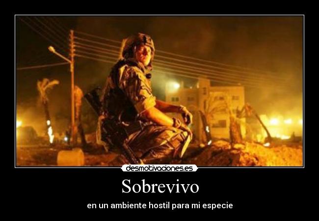 Sobrevivo - en un ambiente hostil para mi especie