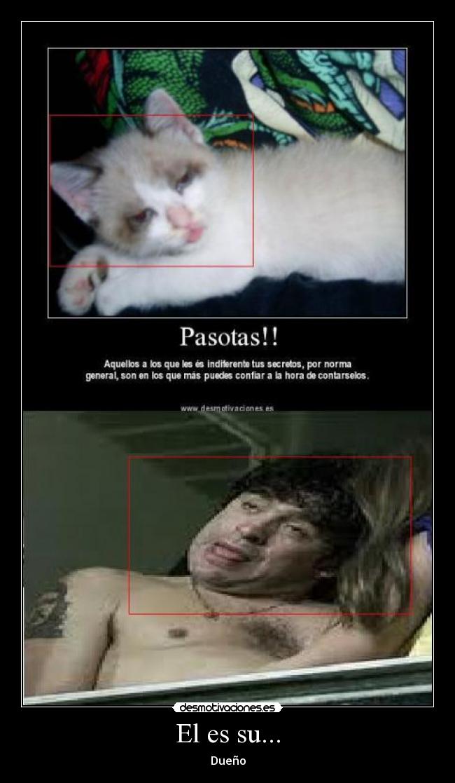 El es su... - Dueño