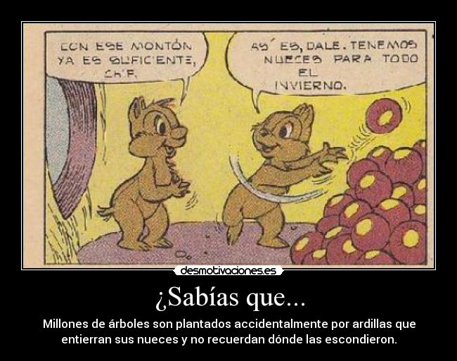 carteles las ardillas salvaran planeta desmotivaciones