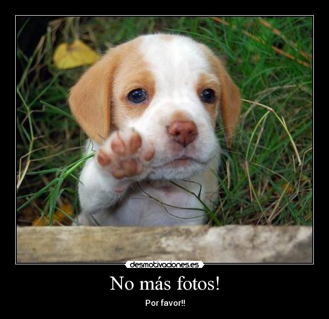 No más fotos! - Por favor!!