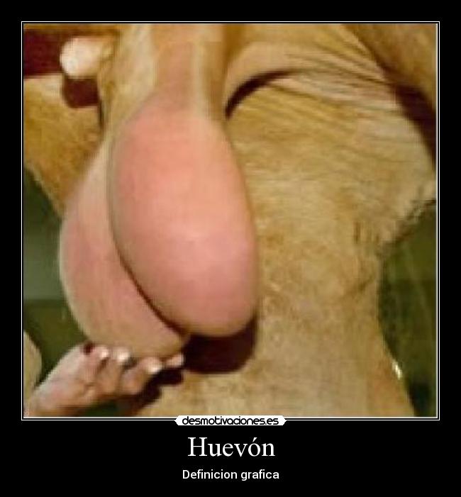 Huevón - Definicion grafica