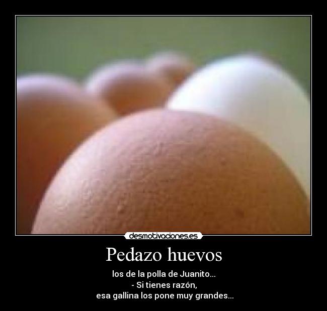 Pedazo huevos - los de la polla de Juanito...
- Si tienes razón,
esa gallina los pone muy grandes...