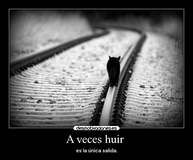 A veces huir  - es la única salida.
