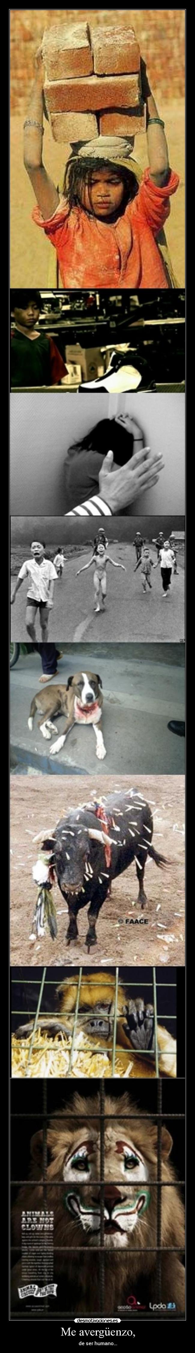 Me avergüenzo, - de ser humano...