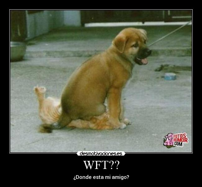 WFT?? - ¿Donde esta mi amigo?