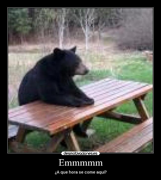 Emmmmm - ¿A que hora se come aqui?