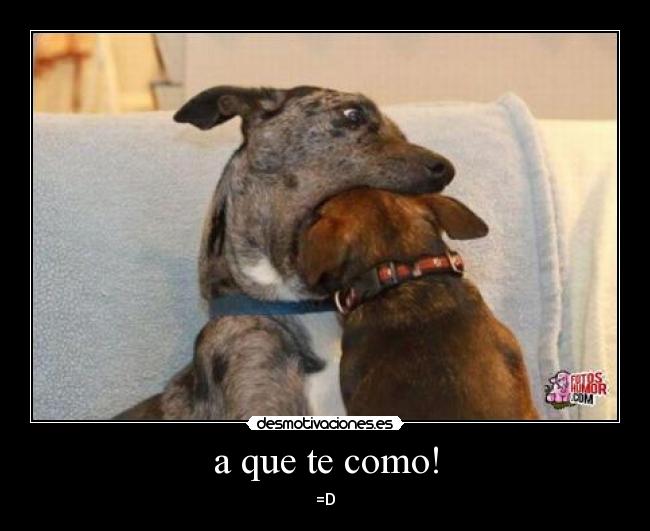 a que te como! - =D