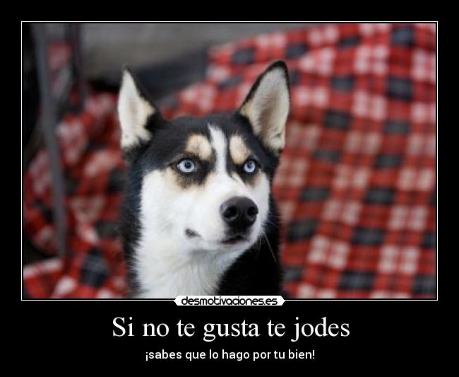 Si no te gusta te jodes -