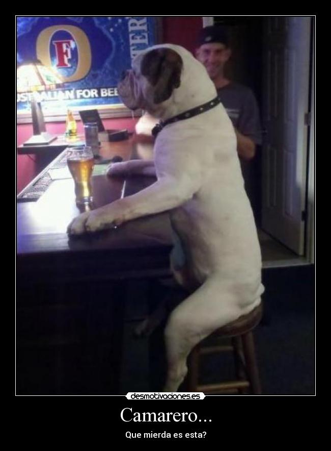 Camarero... - Que mierda es esta?