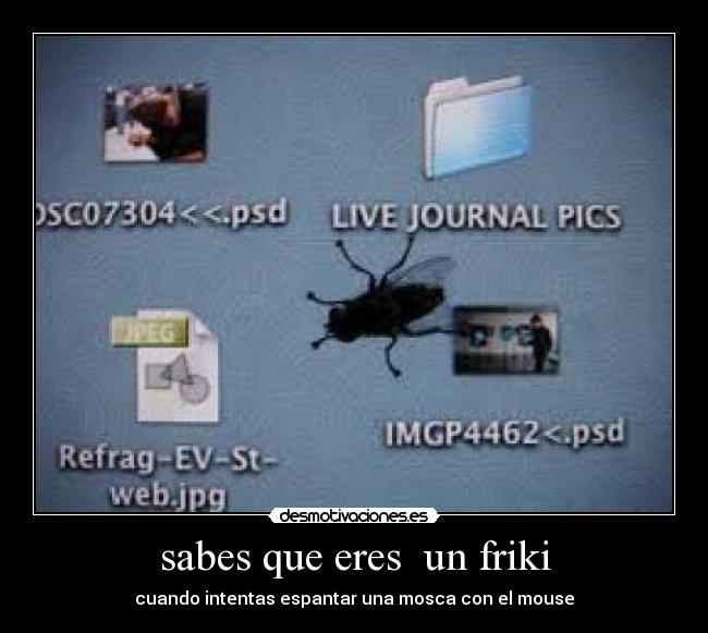 sabes que eres un friki - cuando intentas espantar una mosca con el mouse