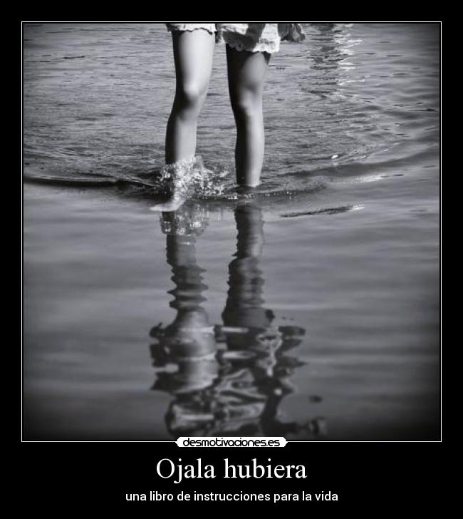 Ojala hubiera - una libro de instrucciones para la vida