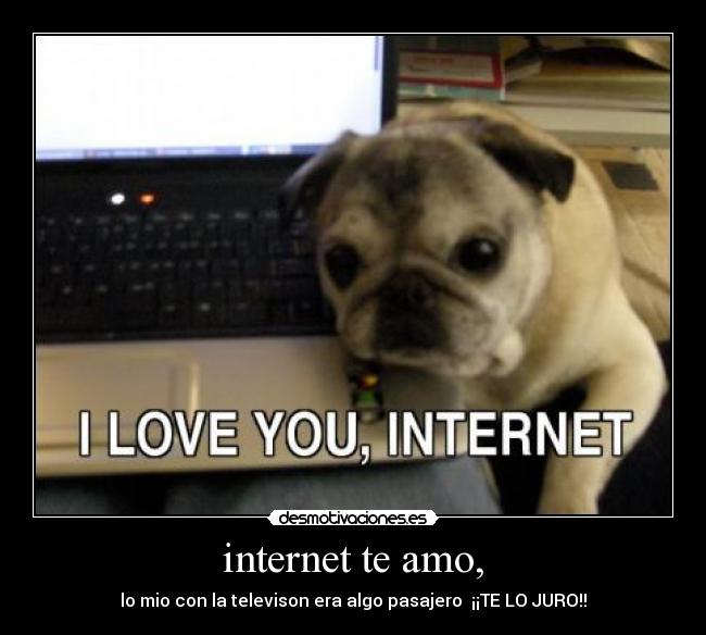 carteles internet hdshh desmotivaciones