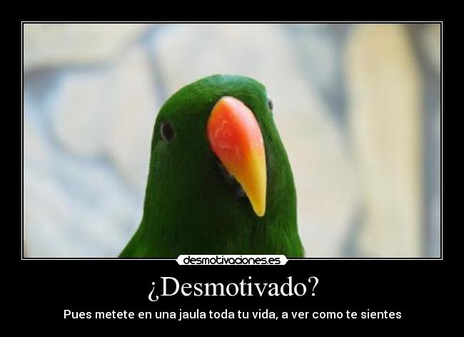 ¿Desmotivado? -