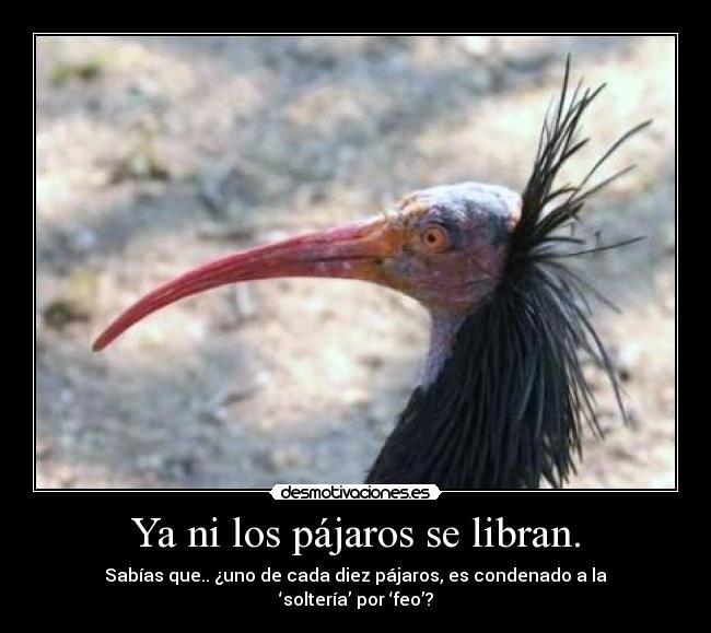 carteles turibas09 desmotivaciones