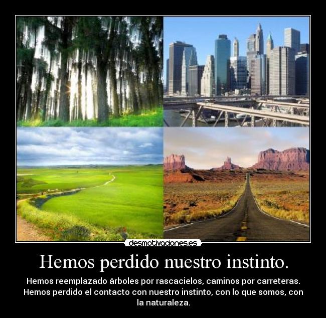 Hemos perdido nuestro instinto. - Hemos reemplazado árboles por rascacielos, caminos por carreteras.
Hemos perdido el contacto con nuestro instinto, con lo que somos, con la naturaleza.
